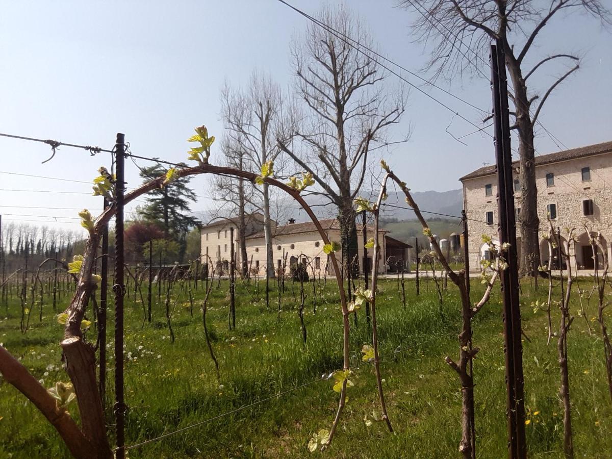 Agriturismo La Bella Follina Kültér fotó